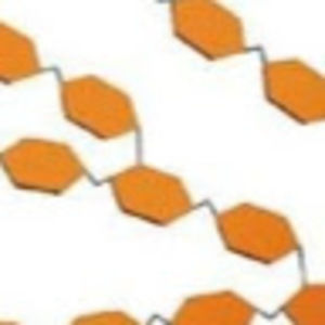 Meet your Posher, Ella